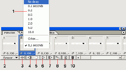  Animation